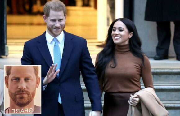 Secret plan behind release of Prince Harry's explosive memoir & why launch may spark Kate clash, according to expert | The Sun