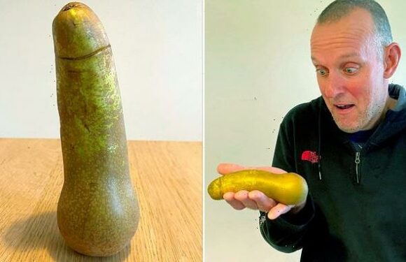 Shocked Aldi shopper finds VERY rude-looking fruit in his weekly shop