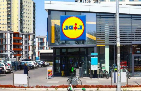 Shoppers are rushing to buy Lidl’s must-have gadget that costs just 7p to run – but not everyone's a fan | The Sun