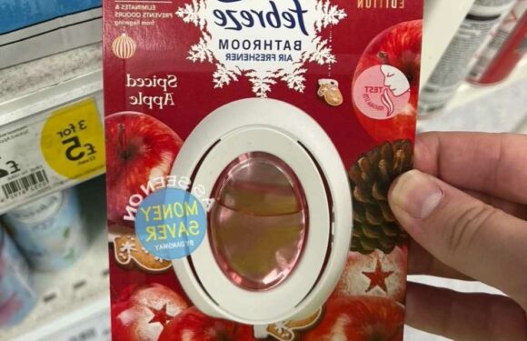 Shoppers rush to Wilko to buy Febreze essential – that makes your bathroom smell like Christmas | The Sun
