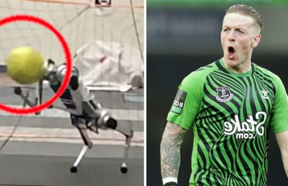 ‘Skilled’ robot goalkeeper could put Jordan Pickford out of a job thanks to AI