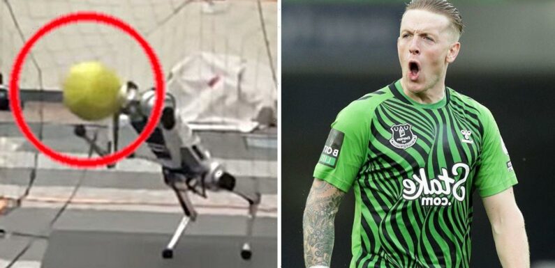 ‘Skilled’ robot goalkeeper could put Jordan Pickford out of a job thanks to AI
