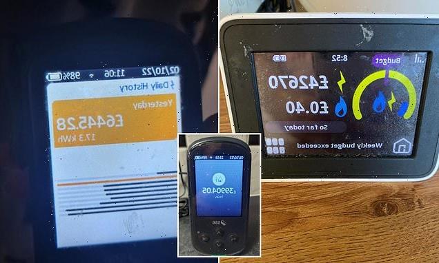 Smart Meter malfunction panics customers with prices up to £42,000