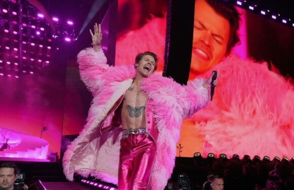 Stand Out From the Rest With These Creative Harry Styles Halloween Costume Ideas