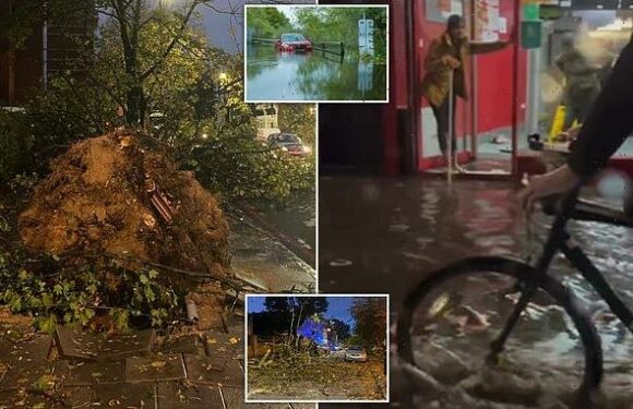 Storms wreak havoc across UK as Met Office warns of more wet weather