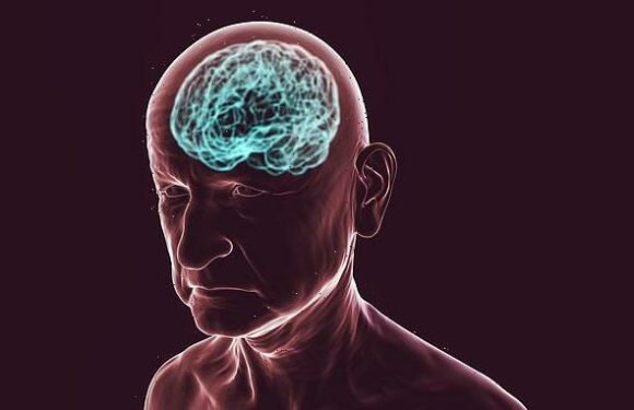 TOM UTLEY: I have a terrible case of 'dad brain'