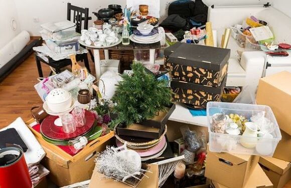 TOM UTLEY: The stuff our neighbours give away is creating merry hell!
