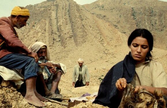 Tamasa Distribution Acquires Latest Pics by Volker Schlondörff, Signe Baumane, Readies Bertrand Tavernier, Carlos Saura Retrospectives (EXCLUSIVE)