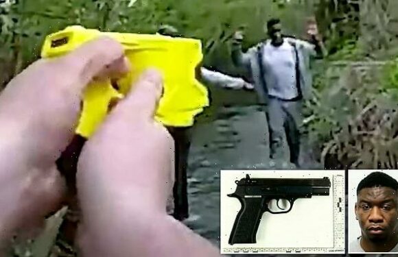 Taser-wielding officer chases criminal into RIVER where he is caught