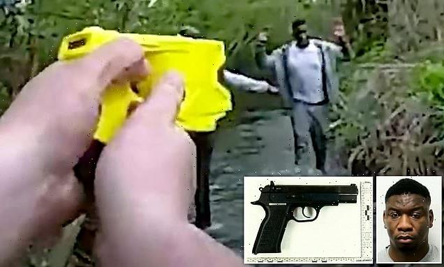 Taser-wielding officer chases criminal into RIVER where he is caught