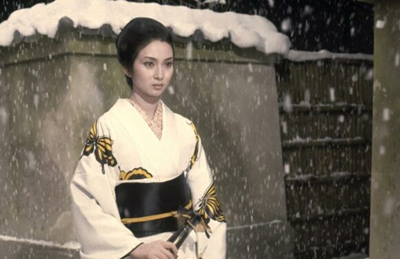 The Lumière Festival Presents A Trio of Stunning Meiko Kaji Movies