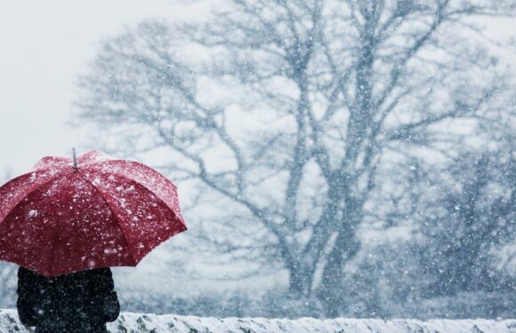The UK could see its first White Christmas in over a decade, experts predict
