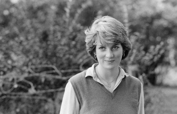 The girlfriend with no petticoat Dianas risqué outfit