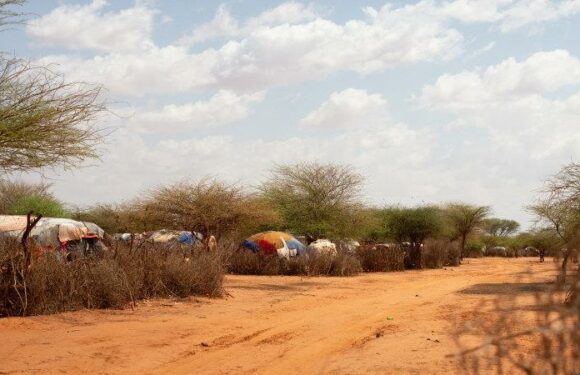 The hungriest place on earth