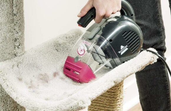 This Powerful & Under-$30 Vacuum Is a ‘Staple’ For Homes With Furry Pets