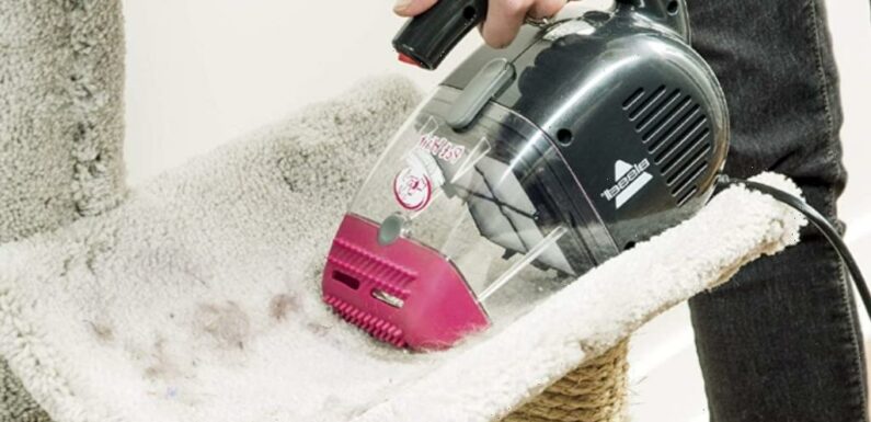 This Powerful & Under-$30 Vacuum Is a ‘Staple’ For Homes With Furry Pets