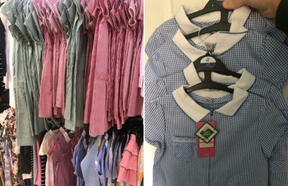 Thrifty mum stocks up on school uniform a year early – and it means she’s nabbed four dresses for a fiver | The Sun