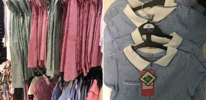 Thrifty mum stocks up on school uniform a year early – and it means she’s nabbed four dresses for a fiver | The Sun