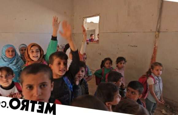 TikTok accused of profiting from livestreams of Syrian refugees begging