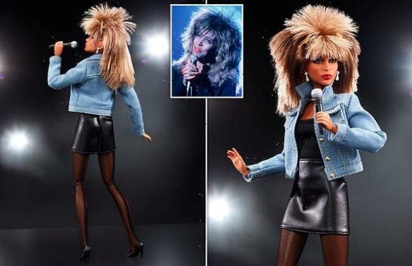 Tina Turner barbie doll released to mark 40th anniversary of hit song