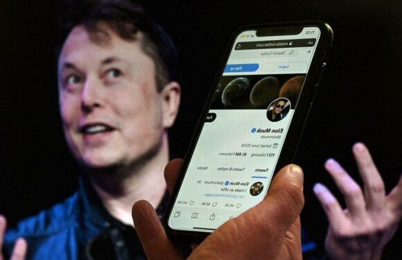Twitter employees’ internal meltdown over ‘f***ing exhausting’ Musk takeover