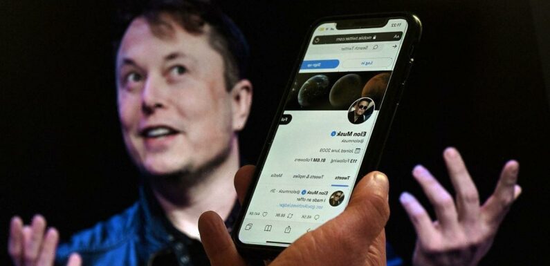 Twitter employees’ internal meltdown over ‘f***ing exhausting’ Musk takeover