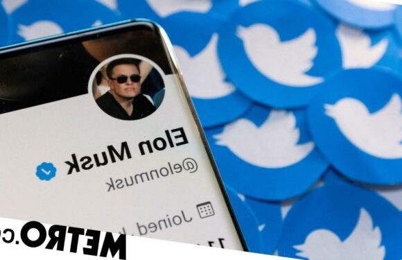 Twitter reassures staff over Elon Musk's plan to axe 75% of employees