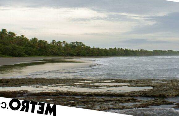 Two children among six tourists feared dead after plane crashes off Costa Rica