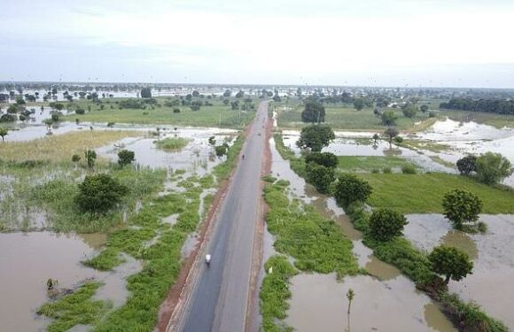 Two month-old baby has arm amputated in Nigeria after father broke it