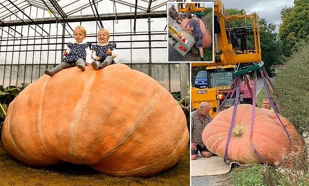 UK's biggest pumpkin causes traffic chaos after toppling off trailer
