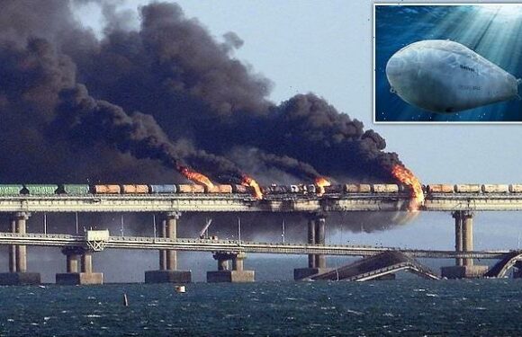 US-supplied drone may have caused Crimea bridge blast, analysts say