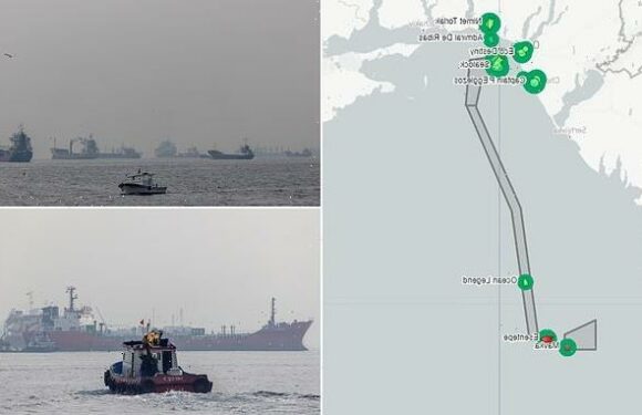 Ukraine defies Russia, sends 12 ships loaded with grain into Black Sea
