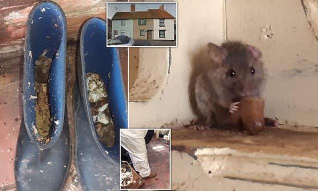 Vegan woman, 73, who refused to deal with mice at Essex home is fined