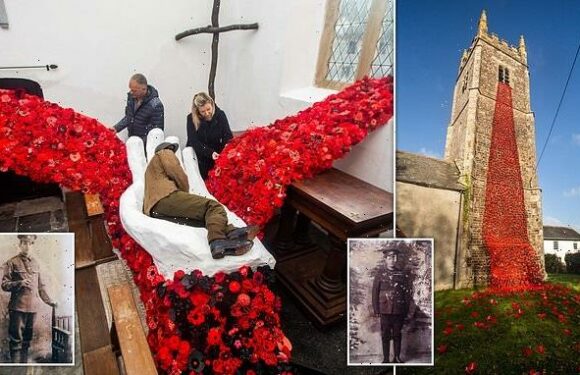 Villagers create towering poppy memorial to three WWI soldiers