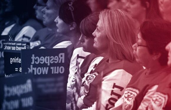 Voters split on wage reform as Albanese government rushes laws