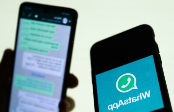 Warning to WhatsApp users over spoof app scam that steals your nan’s cash