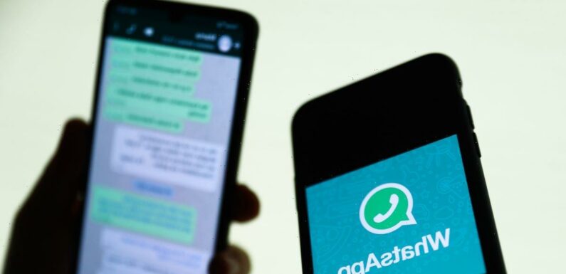 Warning to WhatsApp users over spoof app scam that steals your nan’s cash