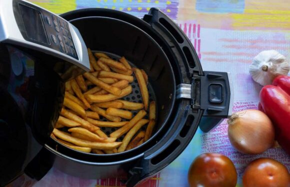 We’re food whizzes – the real reason why your food is going soggy in the Air Fryer and how to fix it in a flash | The Sun
