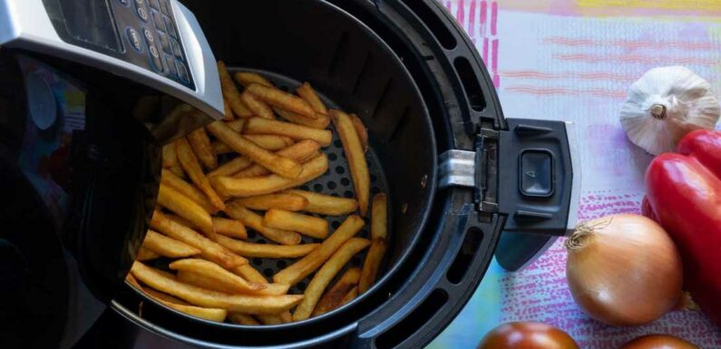 We’re food whizzes – the real reason why your food is going soggy in the Air Fryer and how to fix it in a flash | The Sun