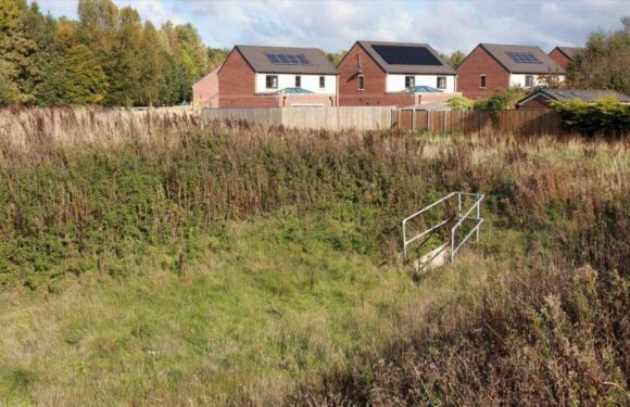 We're raging after newbuild developers left our beautiful estate like a bomb site covered in rubbish, weeds and rubble | The Sun