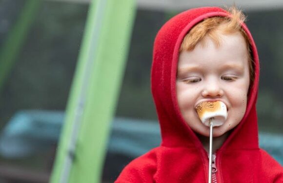 What are extra-large marshmallows for? A British court weighs in