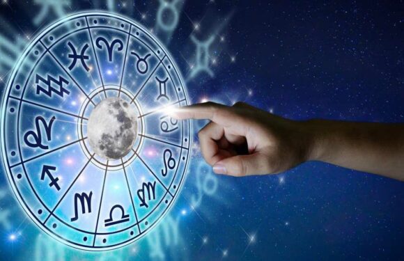 What are the 12 houses of the zodiac? | The Sun