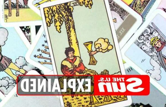 What does the Four of Cups tarot card mean? | The Sun