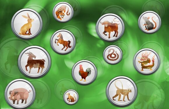 What is my Chinese Zodiac sign, what animal am I and what does it mean? – The Sun | The Sun