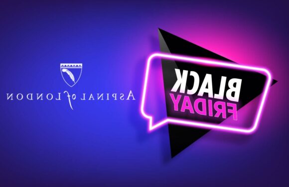 What to expect from Aspinal of London's Black Friday sale | The Sun