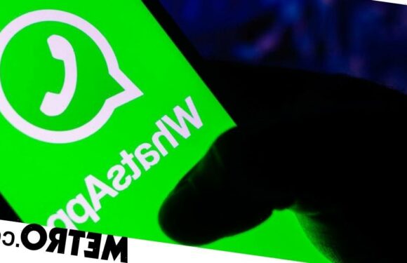 WhatsApp starts blocking screenshots of disappearing messages