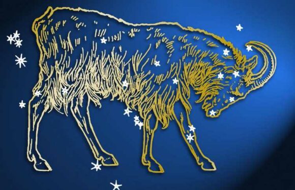 Who is Capricorn's soulmate and who are they sexually attracted to? | The Sun