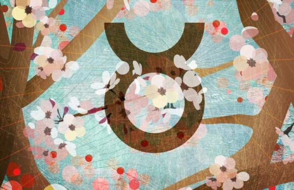 Who is Taurus' soulmate and who are they sexually attracted to? | The Sun