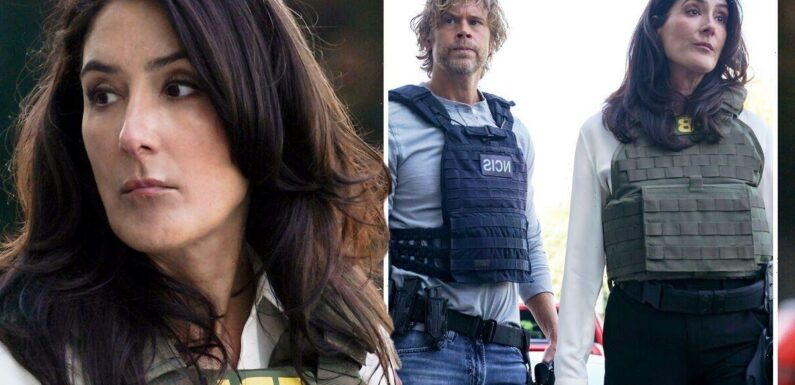 Who plays FBI Agent Lisa Rand on NCIS LA? Stars NCIS history exposed