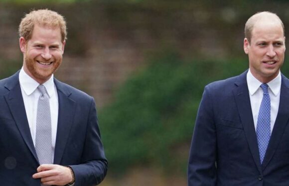 William Reportedly "Can’t Completely Forgive Harry for What He’s Done"